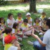 Un safari por África. Parque Benicalap 2º Ed. Infantil.  25-may-10