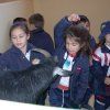img11