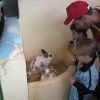 adai12nov2inf05