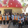 adai12nov2inf10