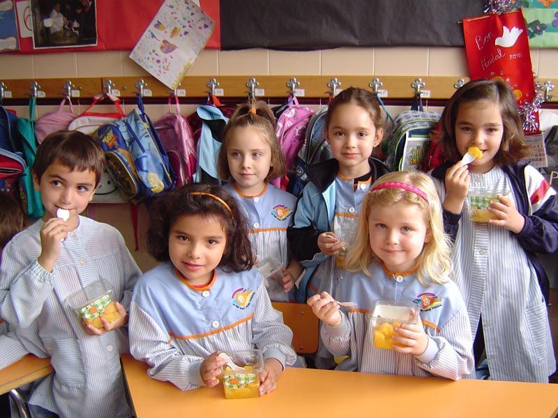 alimentacion04