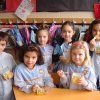 alimentacion04