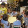 alimentacion07