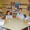 alimentacion14