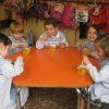 alimentacion15