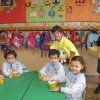 alimentacion16