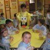 alimentacion17