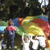 viveros1pri10_07