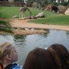 bioparc04