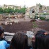 bioparc05