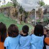 bioparc06