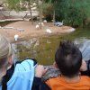 bioparc08