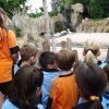 bioparc09