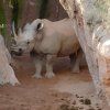 bioparc14