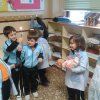 candelaria06