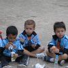 viveros12