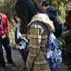 botanico02
