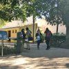 botanico04