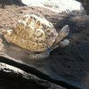 1pri_bioparc04