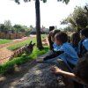 1pri_bioparc11