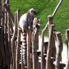 1pri_bioparc16