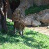 1pri_bioparc23