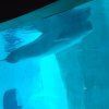 oceanografico05