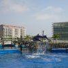 oceanografico09