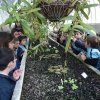 botanico2pri_11