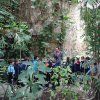 botanico2pri_12