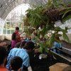 botanico2pri_22