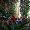 botanico2pri_23