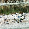 albufera24