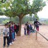 tarihuela_3pri18