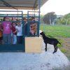 tarihuela_3pri20