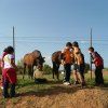 tarihuela_3pri26