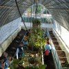 botanico_3pri01