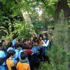 botanico_3pri03