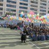 fallas19
