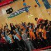 basket06