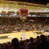 basket10