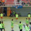basket_torrent04