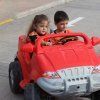 inf_vialdea43