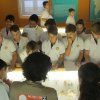 1eso_prehistoria13