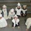 2pri_festival27