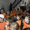 palmar02
