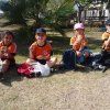 palmar16