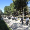 5pri_prehistoria01