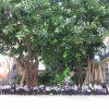 5pri_prehistoria03