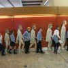 5pri_prehistoria13